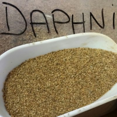 DAPHNIA