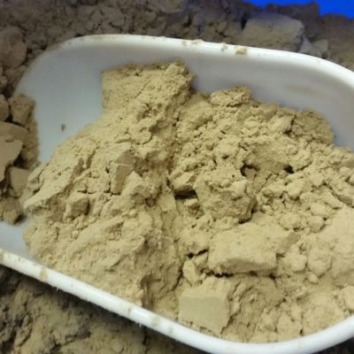 PREDIGESTED FISHMEAL CPSP 90