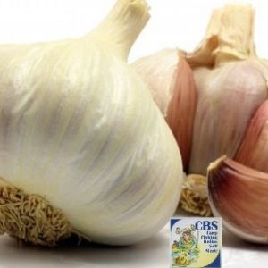 AROMA AGLIO (CBS)