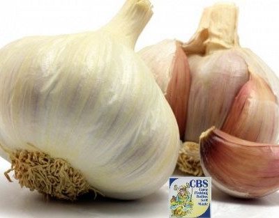 AROMA AGLIO (CBS)