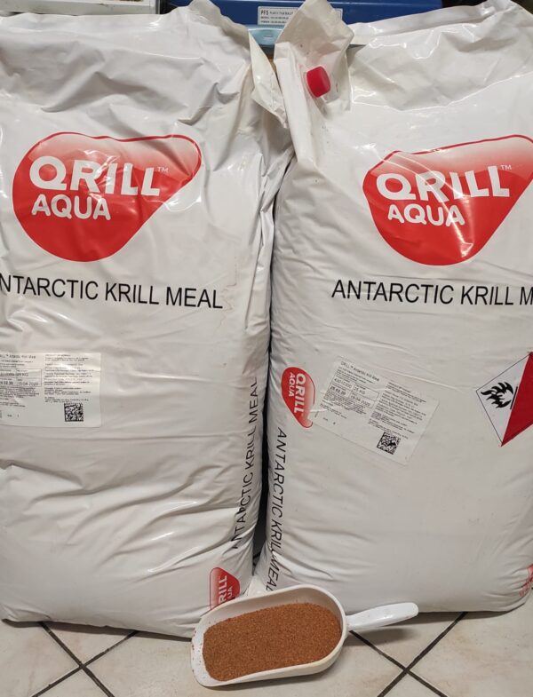 ANTARTIC KRILL