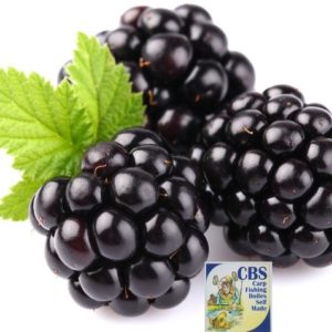 AROMA MULBERRY FLORENTINE (CBS)