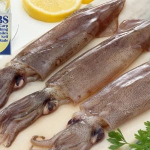 AROMA SQUID (CBS)