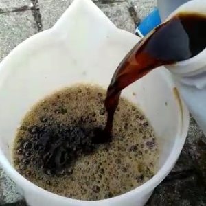 LIQUID KELP COMPLEX (CBS)