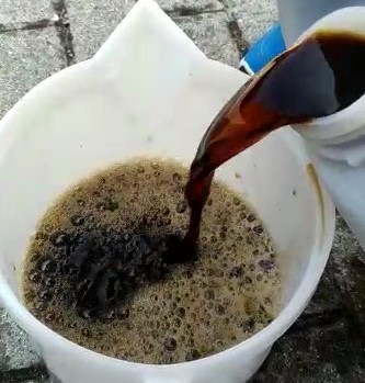 LIQUID KELP COMPLEX (CBS)