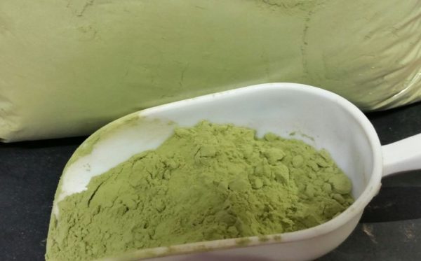 GLM EXTRACT
