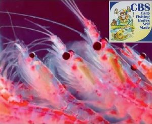 AROMA KRILL (CBS)