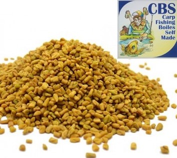 FIENO GRECO (CBS)