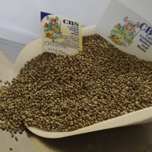 CANAPA INTERA SECCA