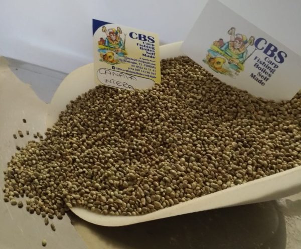 CANAPA INTERA SECCA