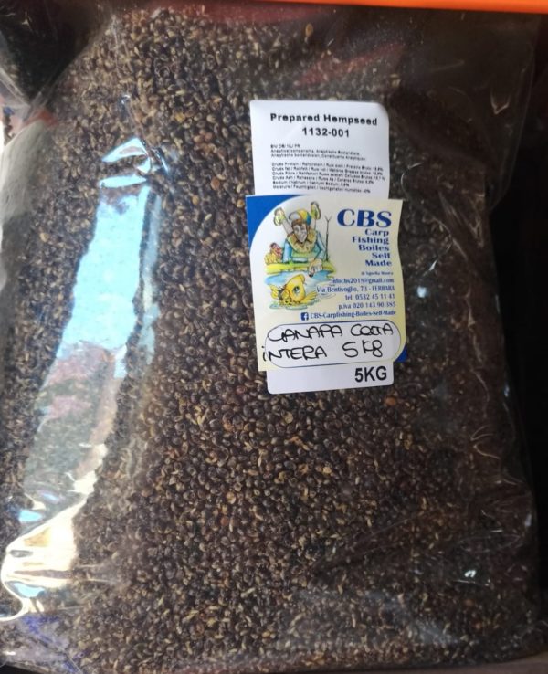 CANAPA INTERA COTTA 5 KG