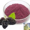 TOTAL MULBERRY 20 mm - immagine 3