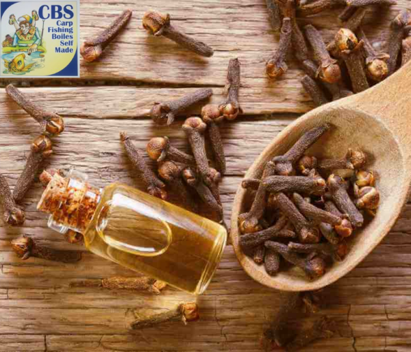 O.E. CHIODI DI GAROFANO 20 ml (CLOVE)